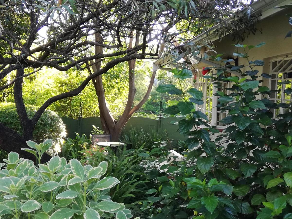 Tiree B&B Johannesburg Buitenkant foto